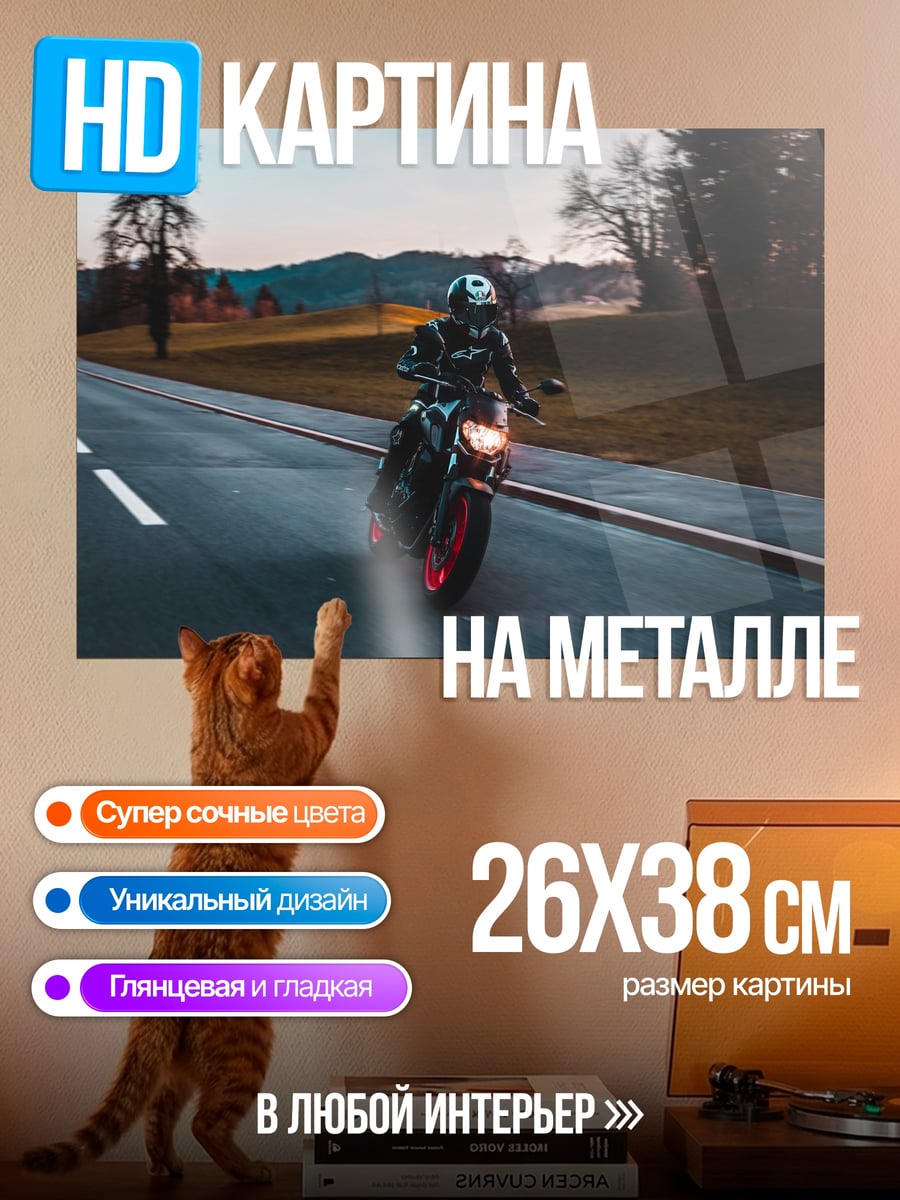 Картина на металле Мотоциклист на дороге