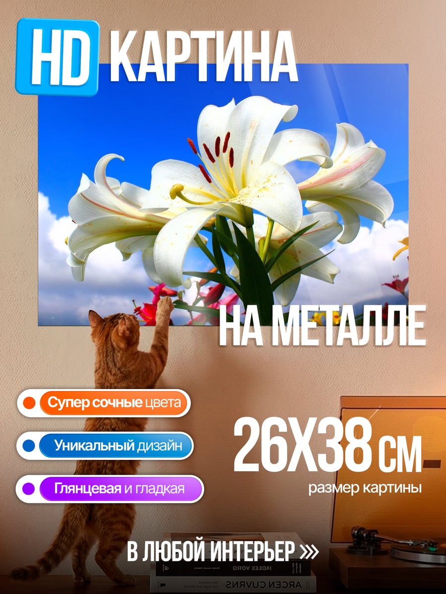 Картина на металле Белые лилии в небе
