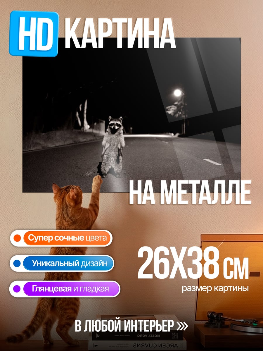 Картина на металле Енот на дороге