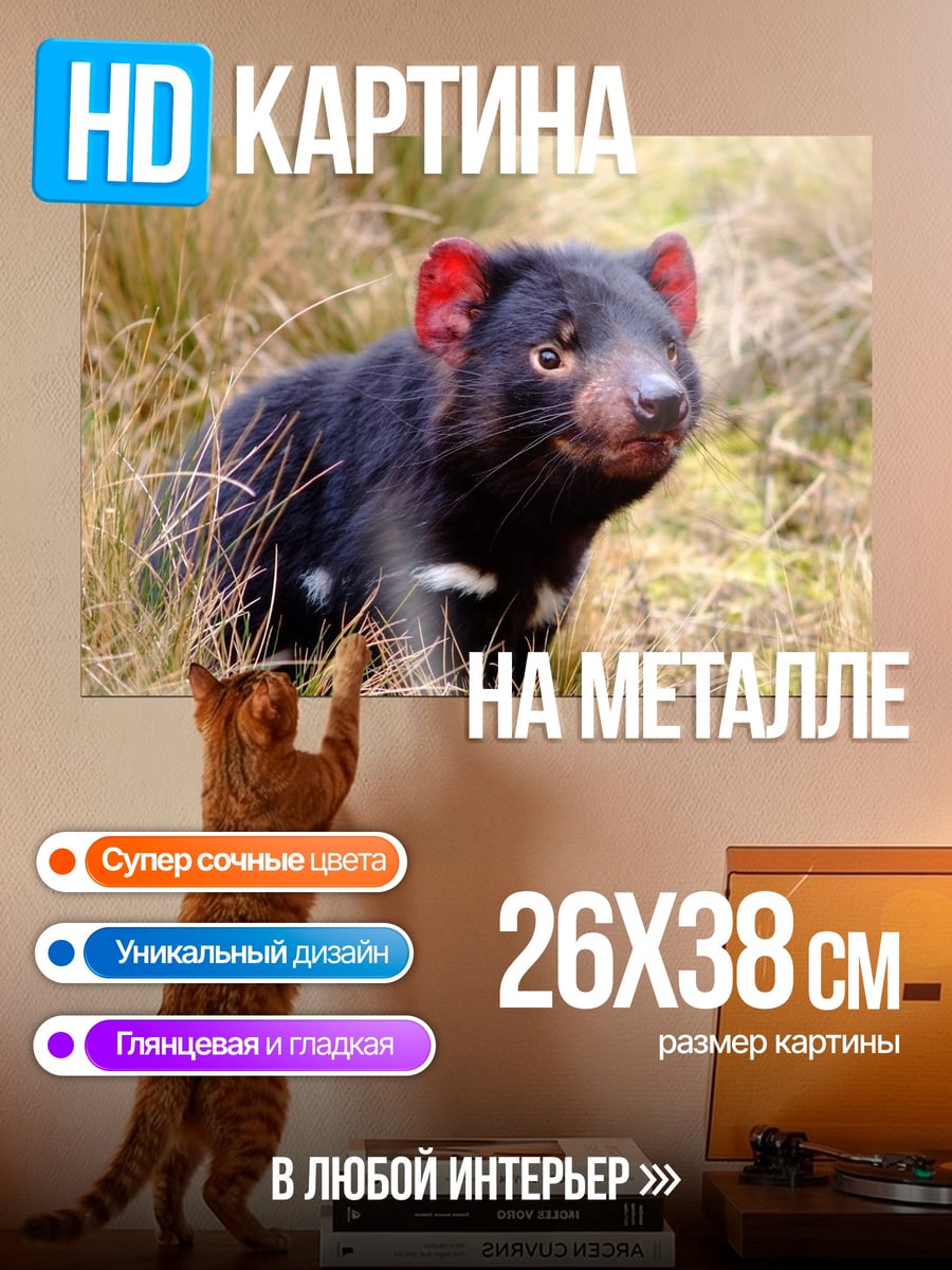 Картина на металле Тасманийский дьявол