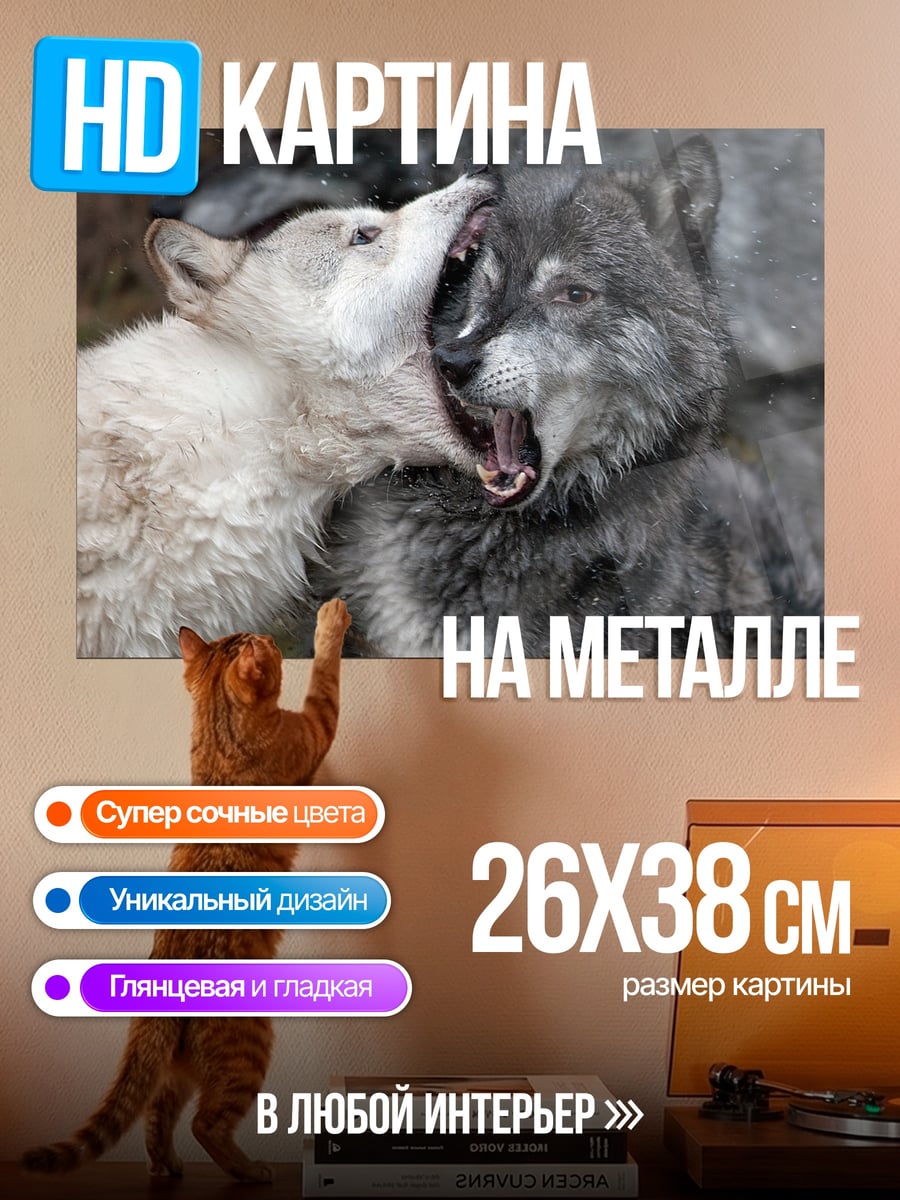 Картина на металле Два волка дерутся