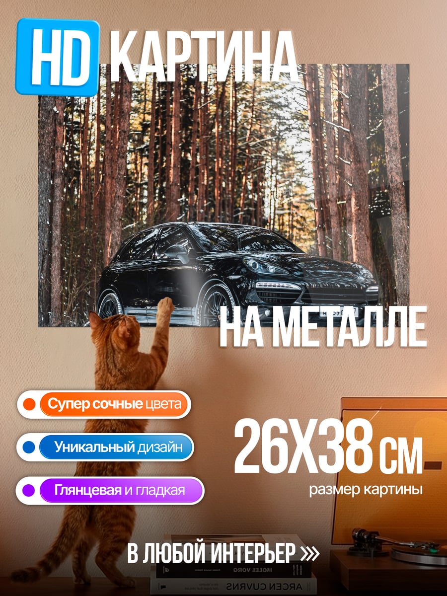 Картина на металле Черный автомобиль в снегу