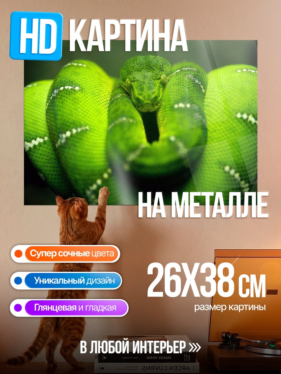 Картина на металле Зеленая змея