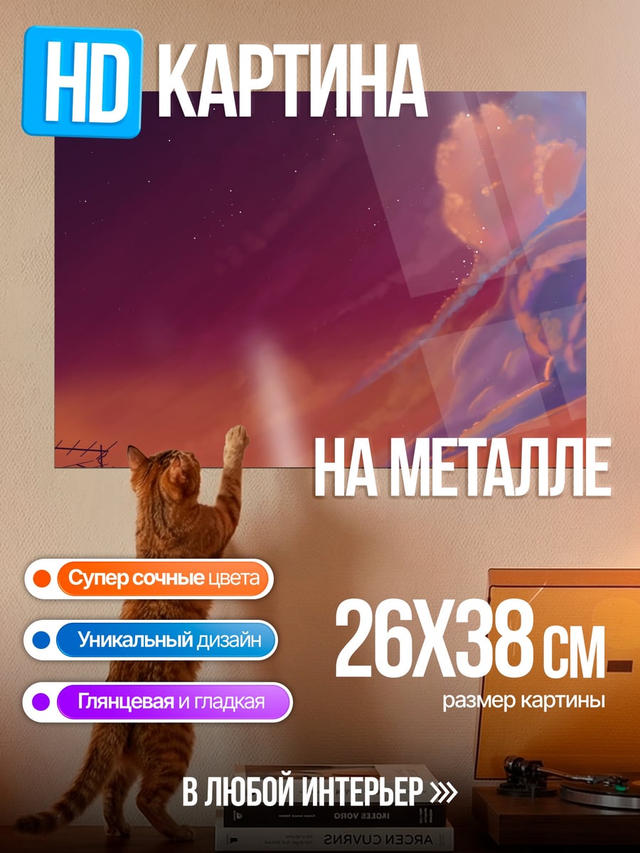 Картина на металле Кот на крыше