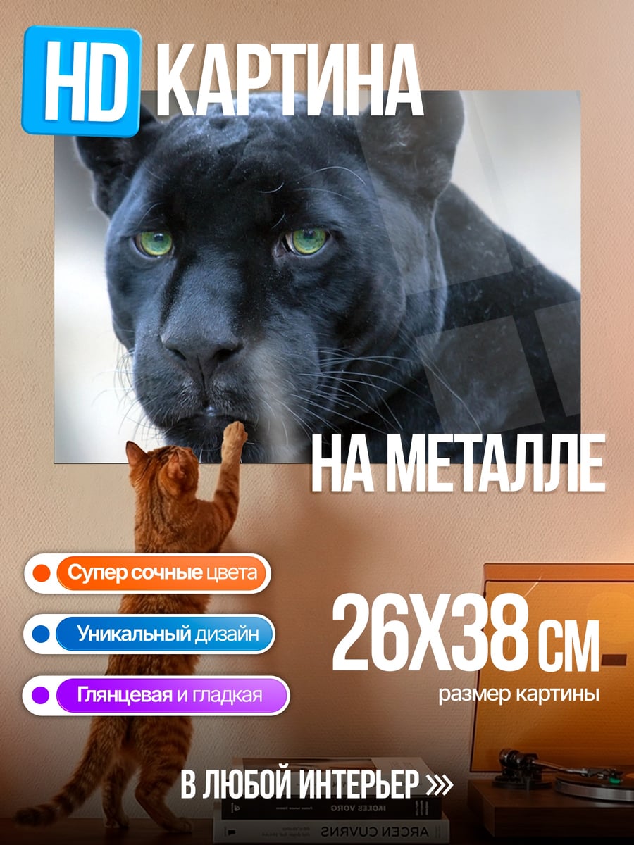 Картина на металле Черная пантера