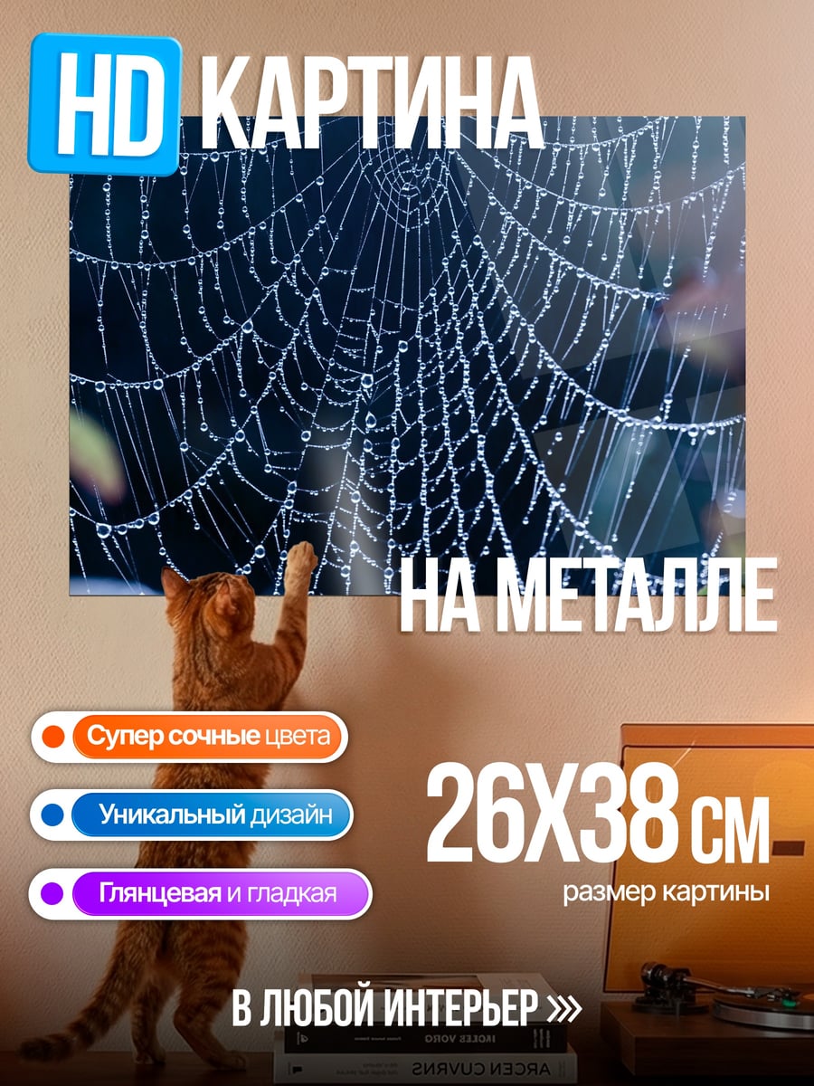 Картина на металле Паутина с росой