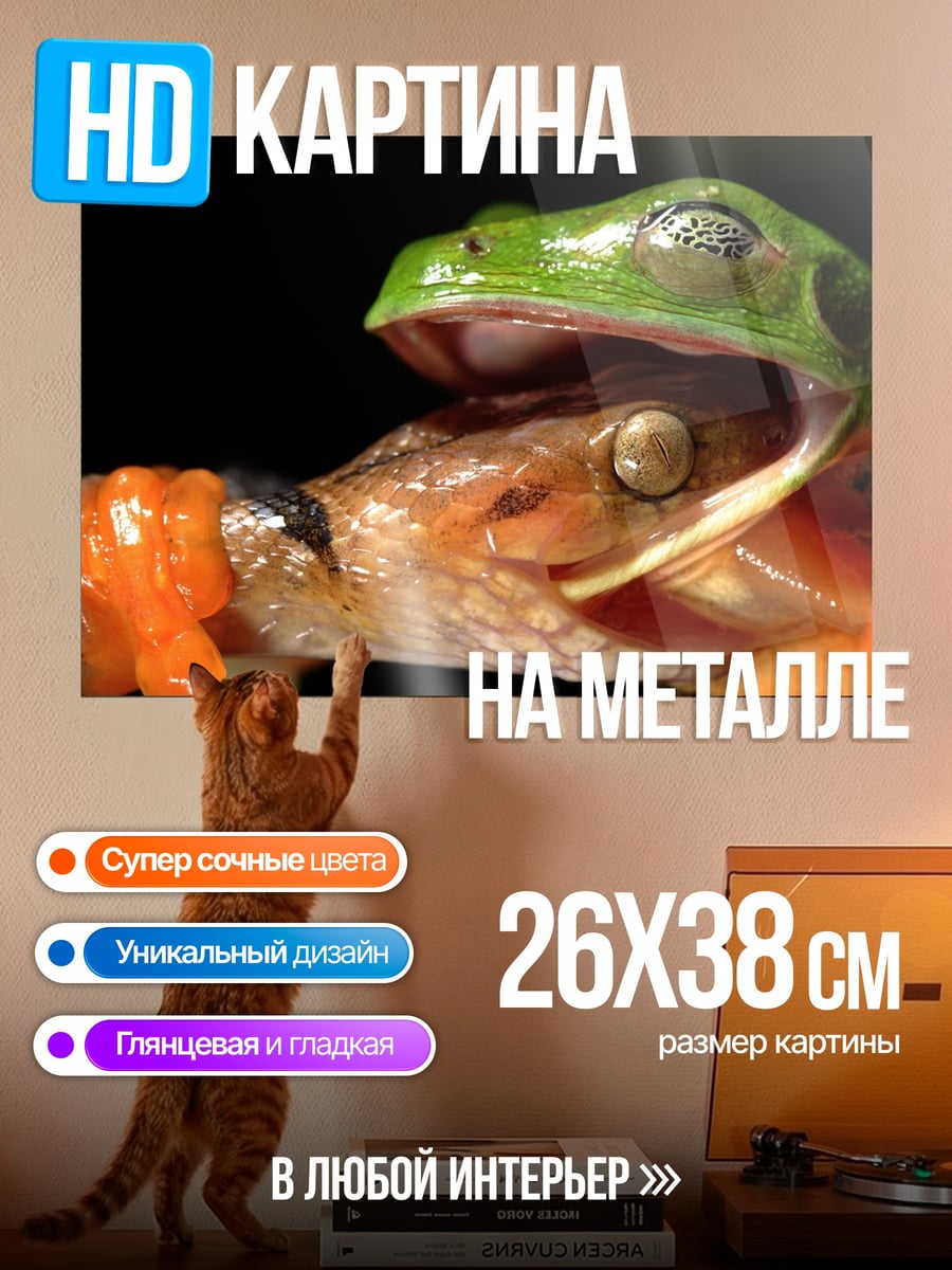 Картина на металле Лягушка ест ящерицу