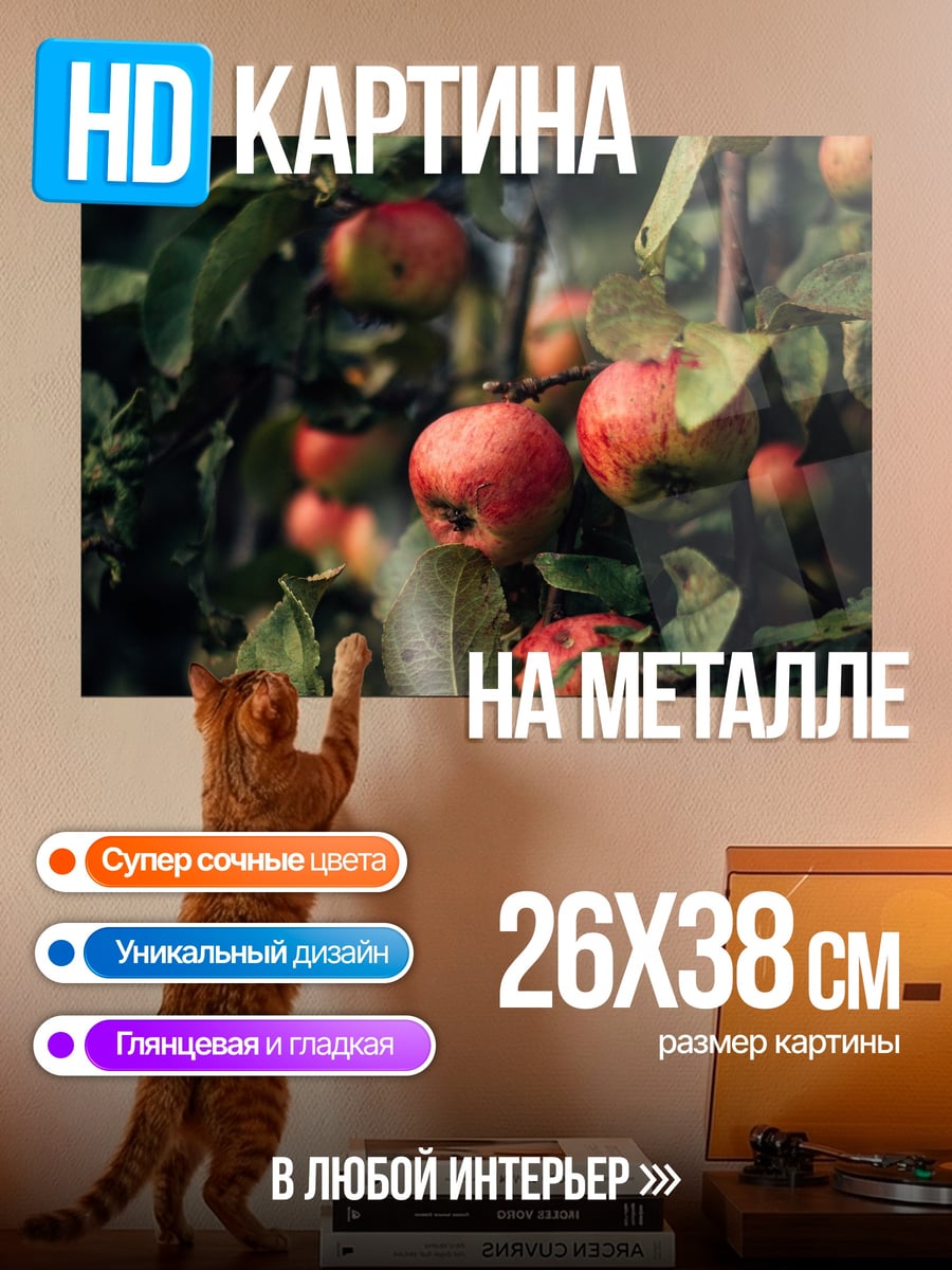 Картина на металле Яблоки на ветке