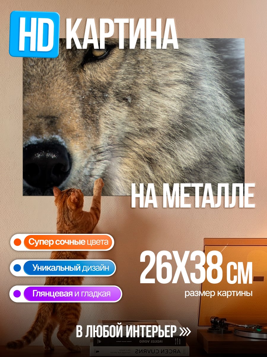 Картина на металле Крупный план волка