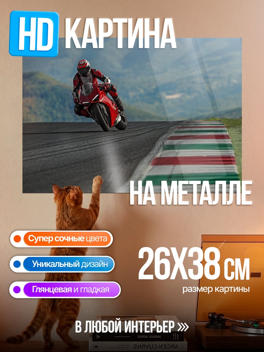 Картина на металле Красный мотоцикл гонщик