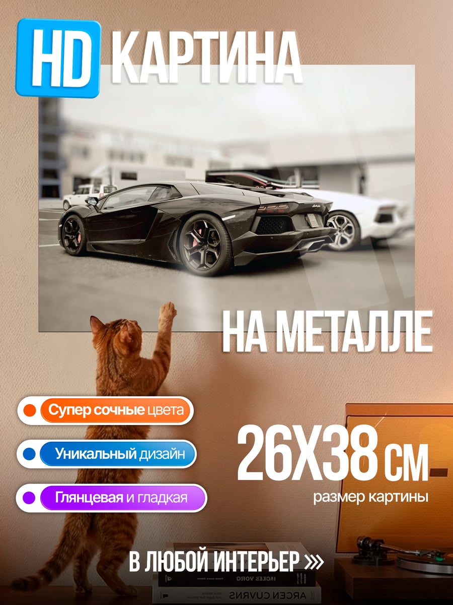 Картина на металле Два спорткара