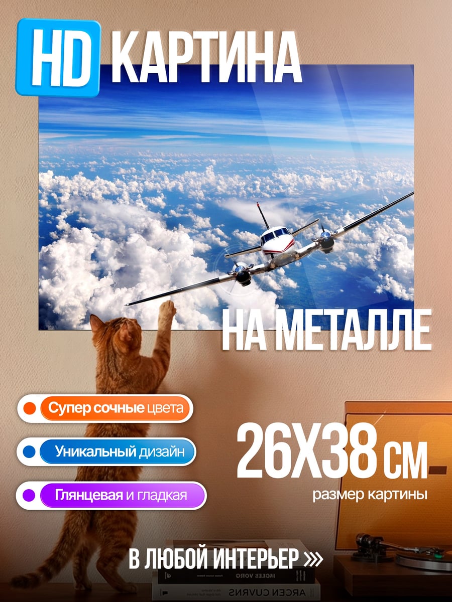 Картина на металле Самолет в небе