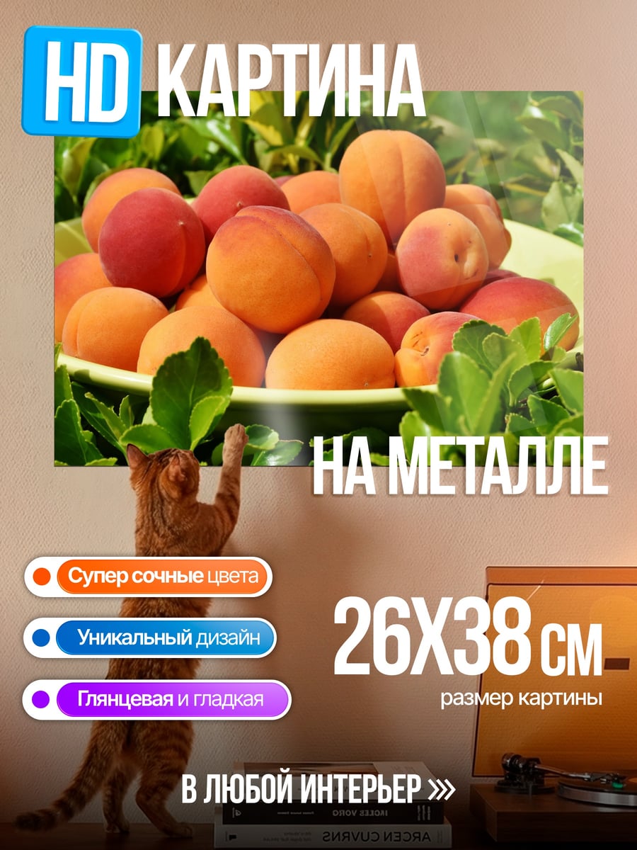 Картина на металле Абрикосы на тарелке