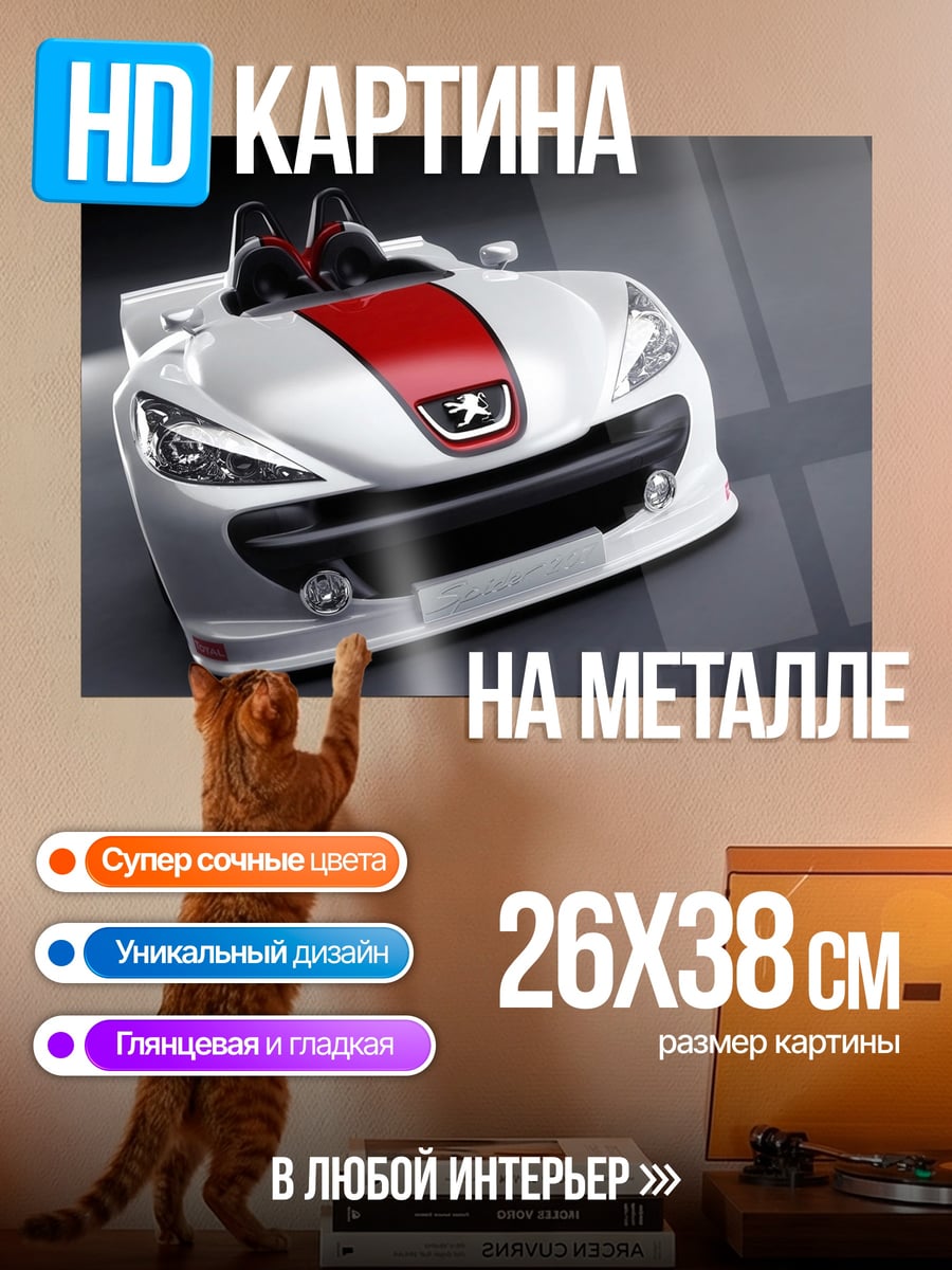 Картина на металле Peugeot RCZ
