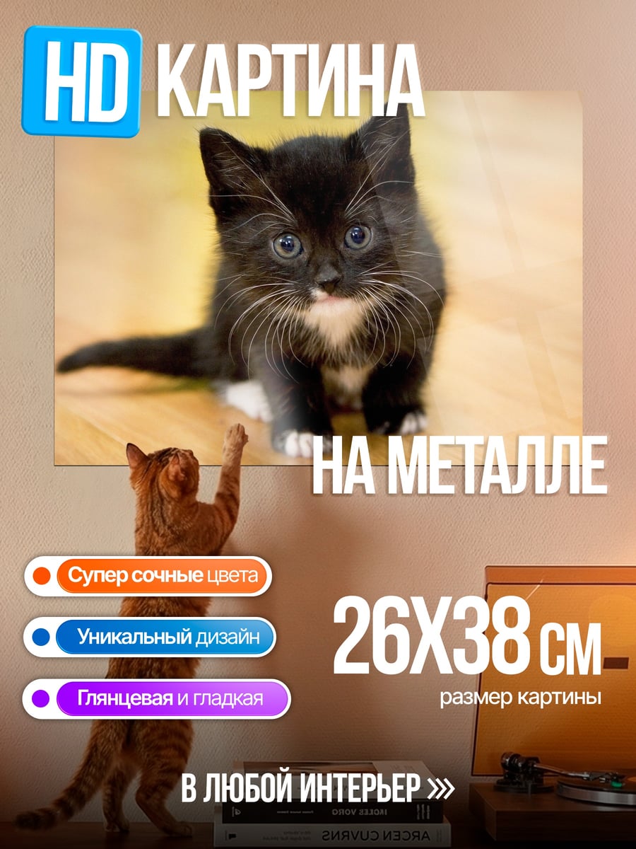 Картина на металле Черный котенок