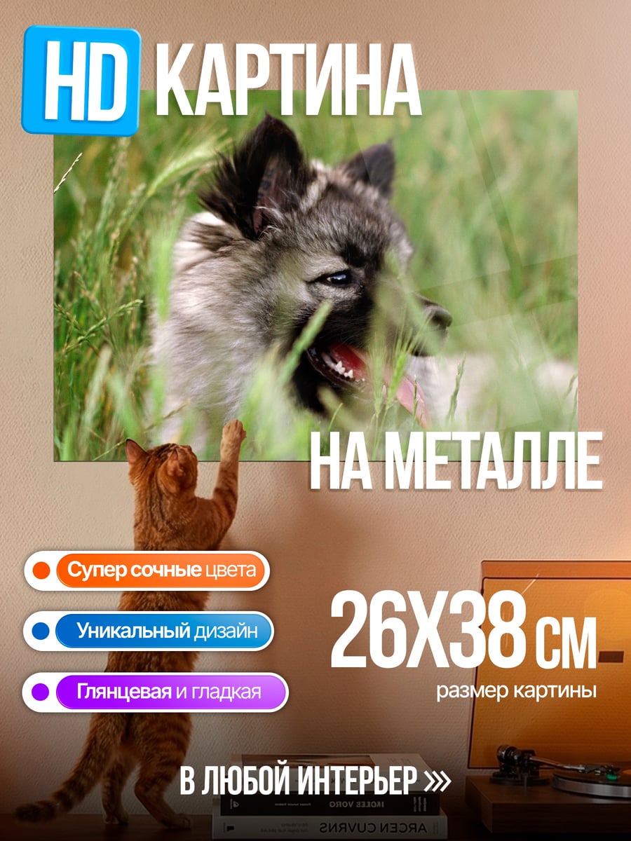 Картина на металле Волк в траве