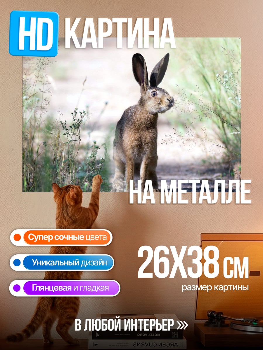 Картина на металле Заяц на тропе