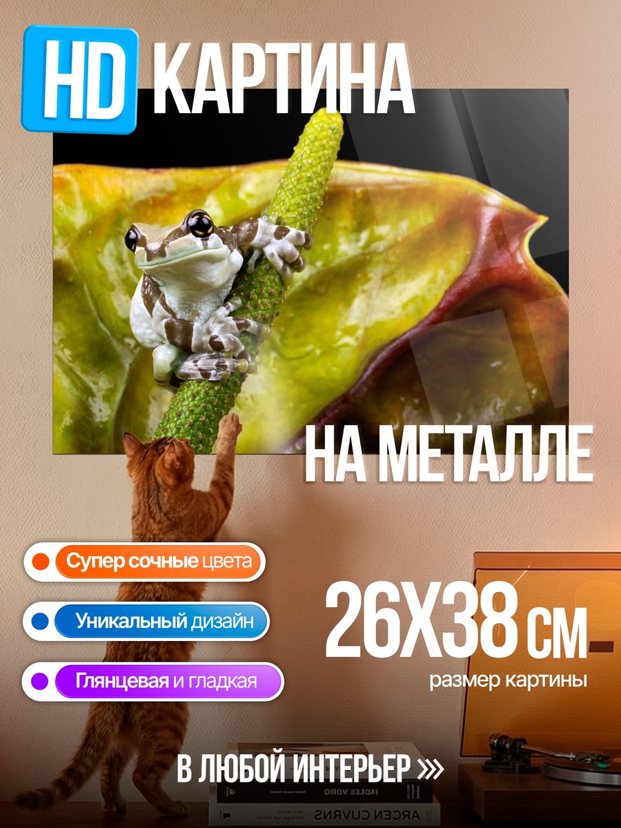 Картина на металле Лягушка на цветке