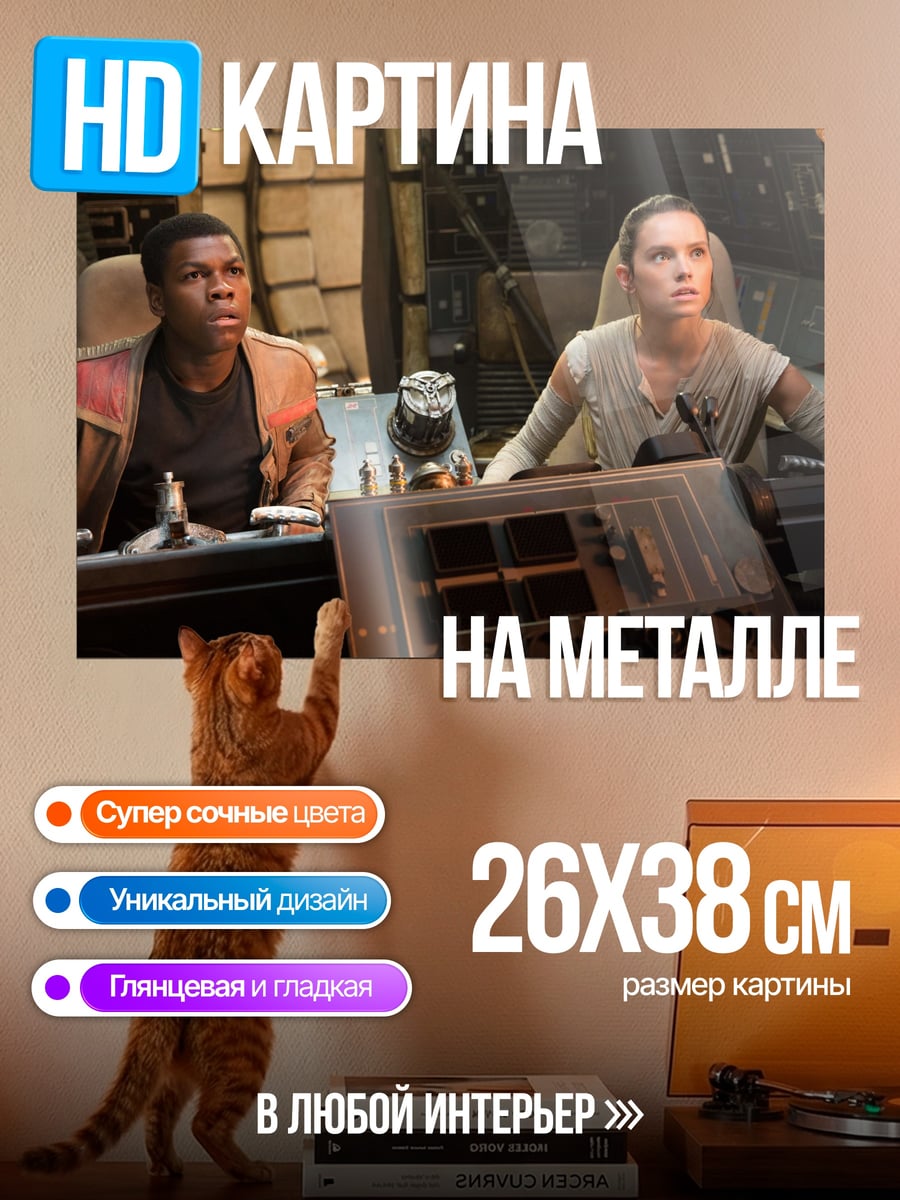 Картина на металле Рей и Финн