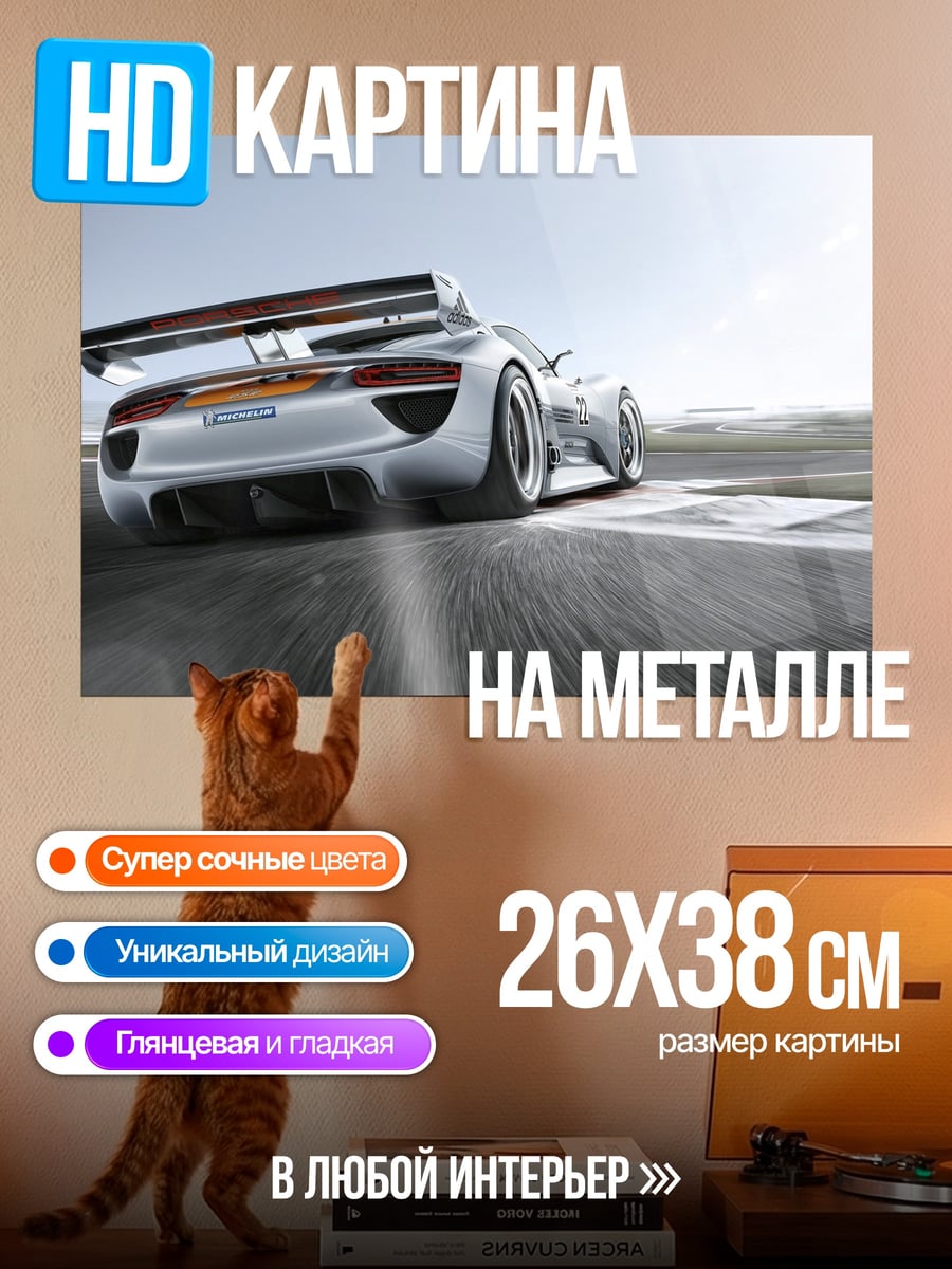 Картина на металле Гоночный автомобиль