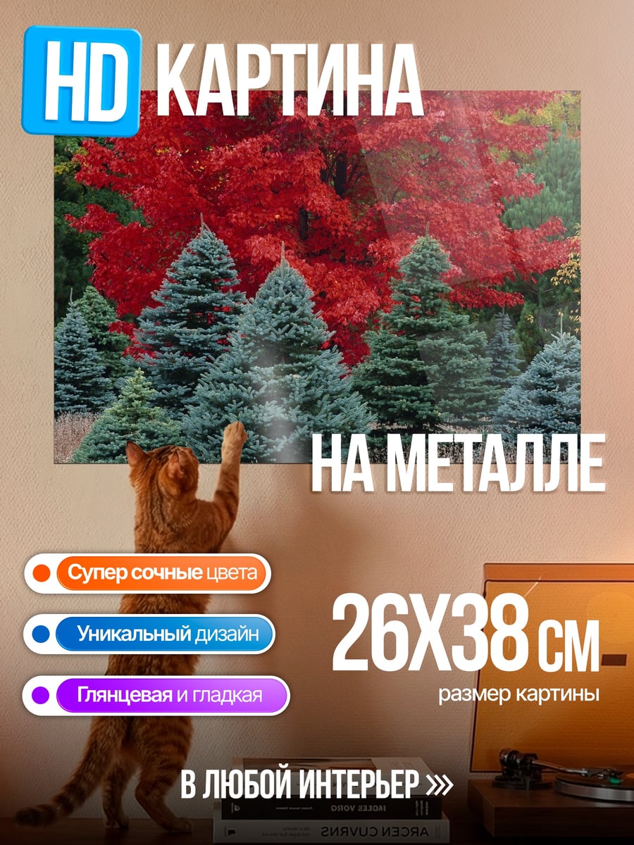 Картина на металле осенние ели красные