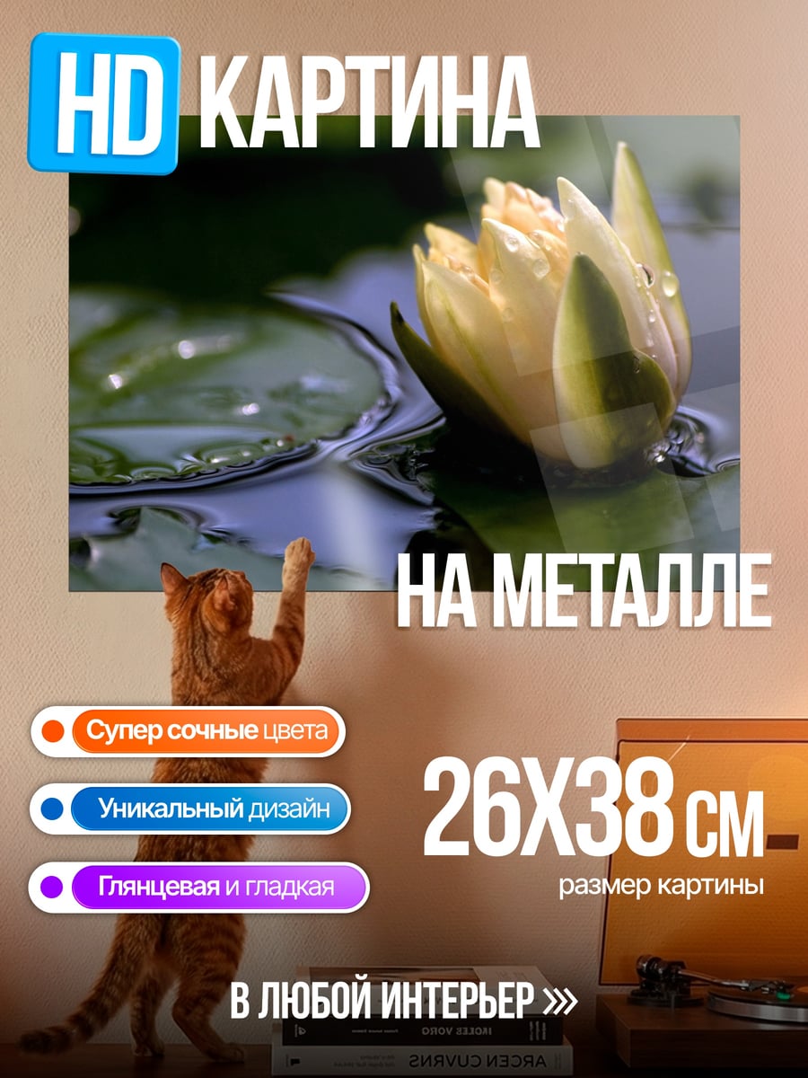 Картина на металле Желтый лотос на воде
