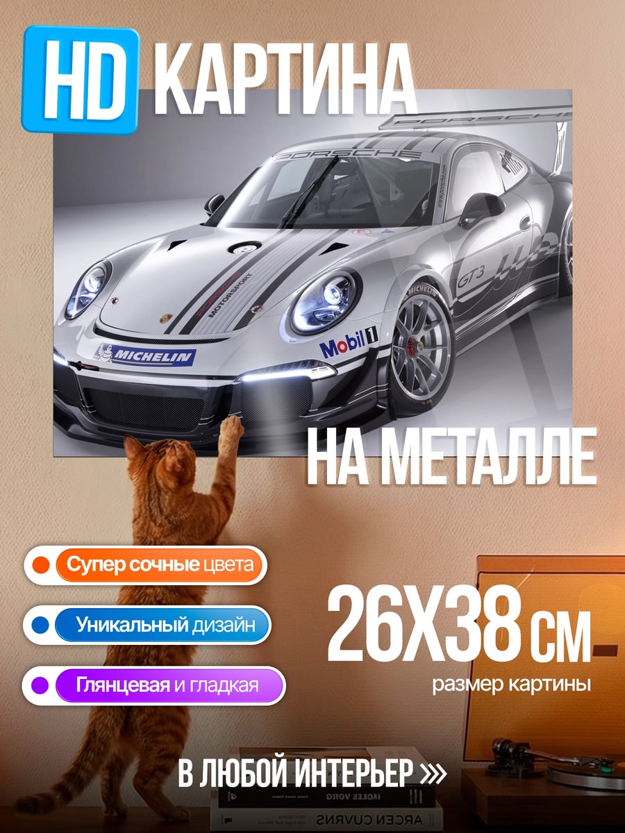 Картина на металле Гоночный Порше 911