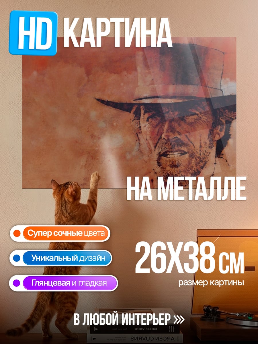 Картина на металле Ковбой в шляпе