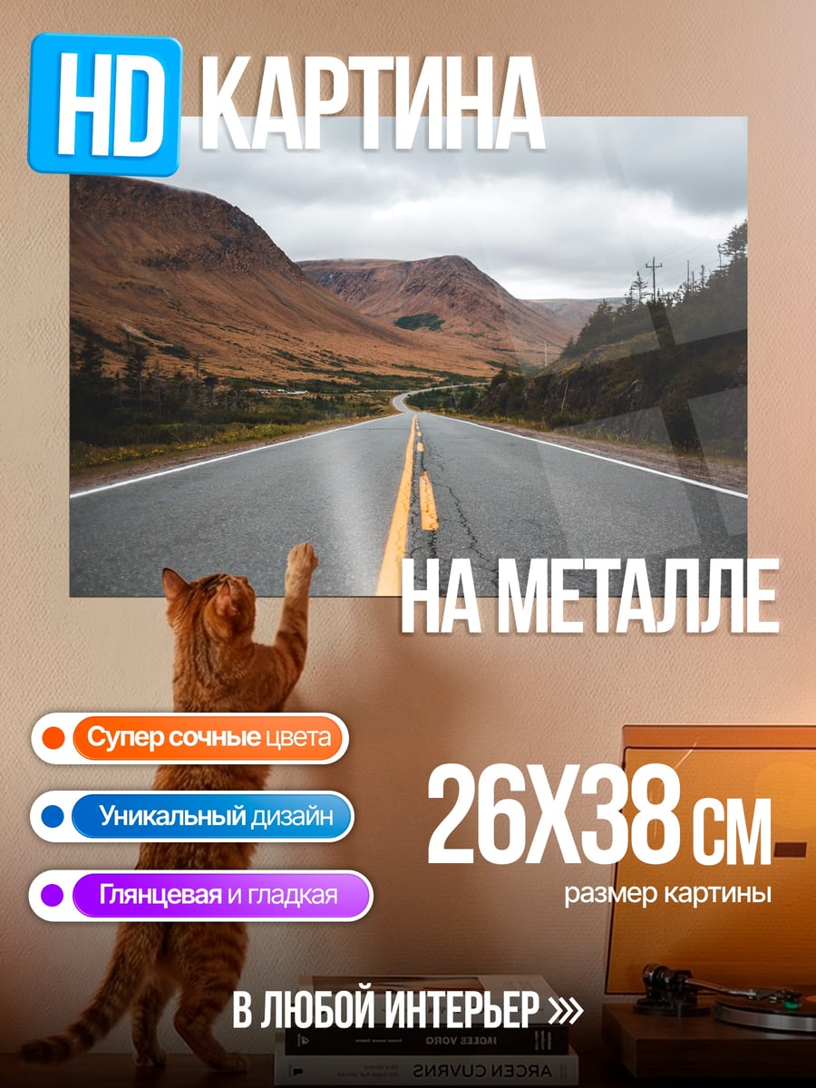 Картина на металле Пустая дорога