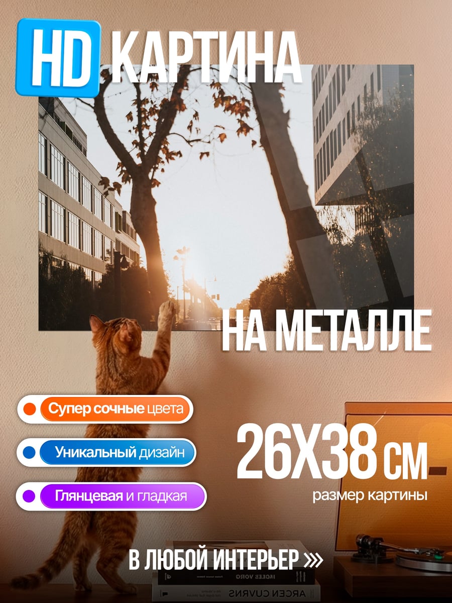 Картина на металле Городской закат