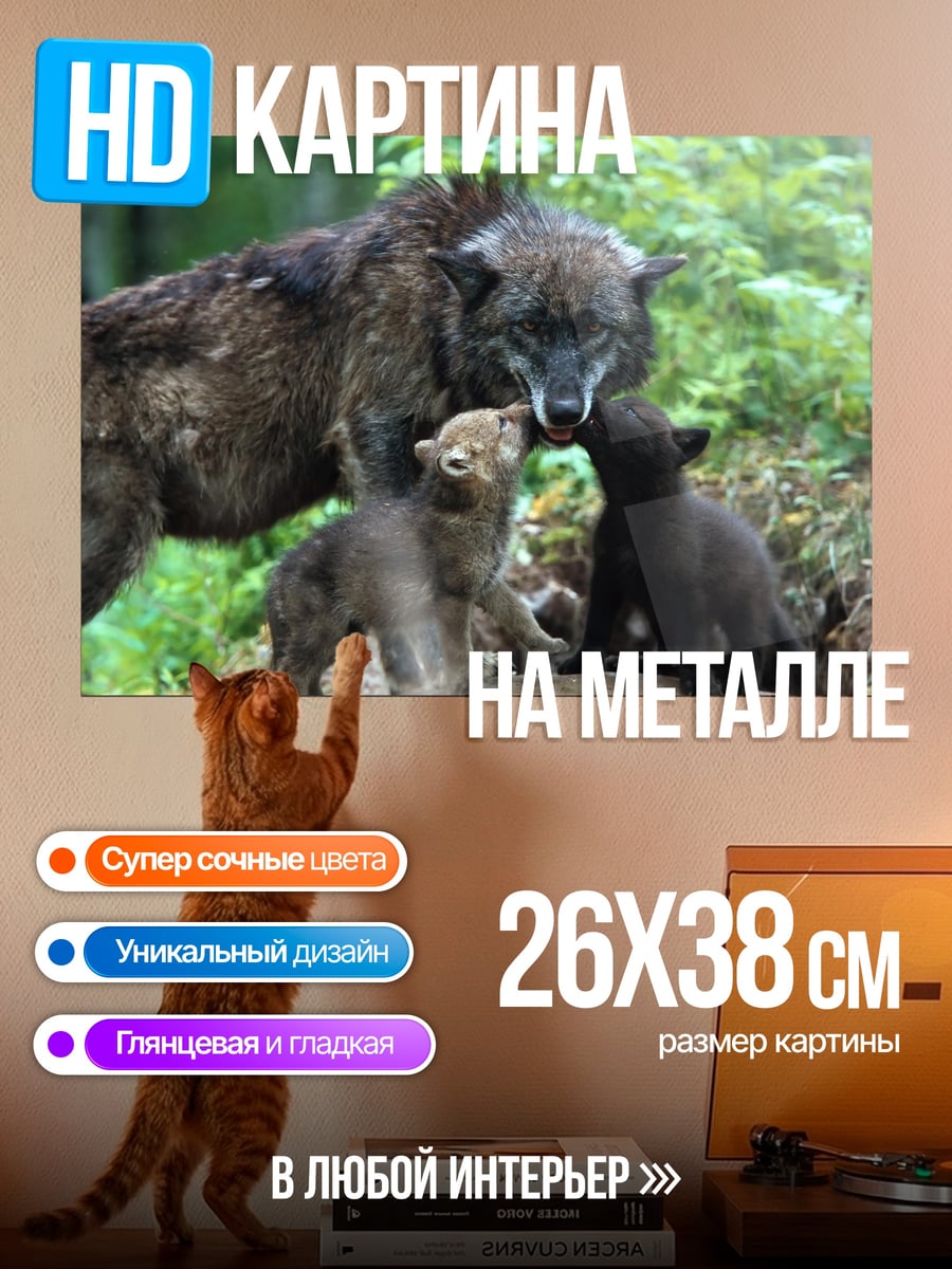 Картина на металле Волчья семья в лесу