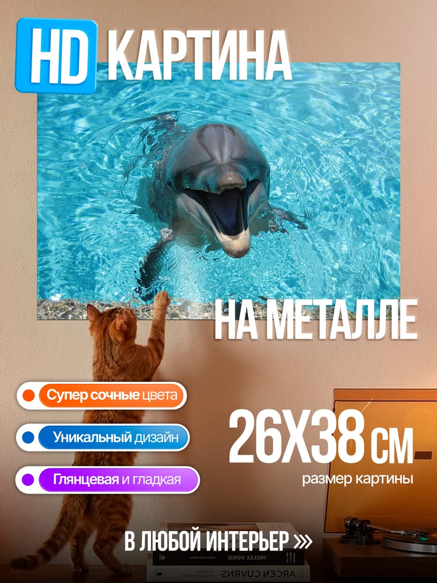 Картина на металле Дельфин в бассейне