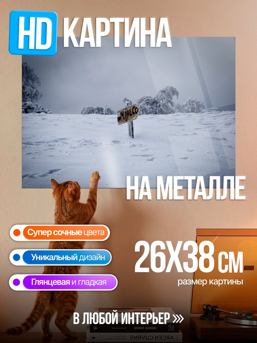 Картина на металле Зимний пейзаж