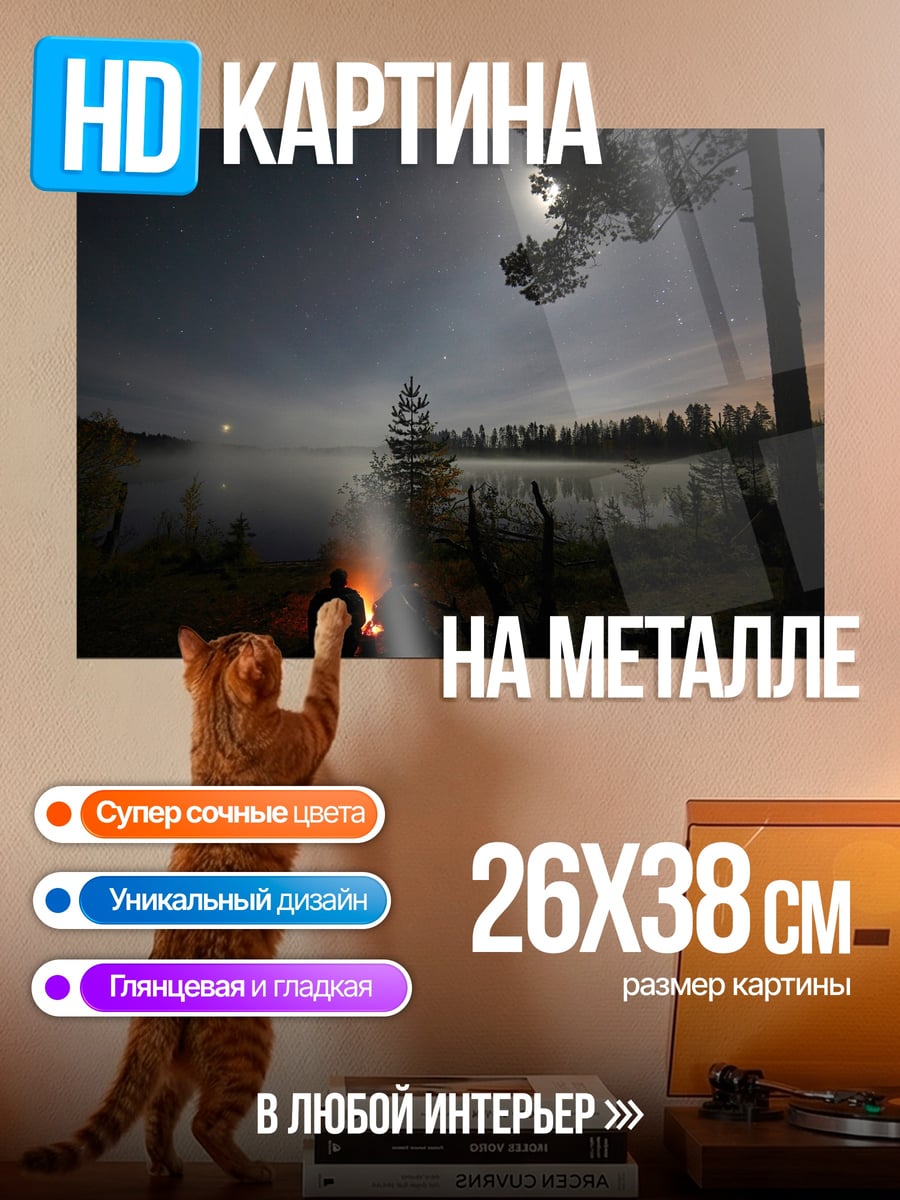 Картина на металле Ночной костер