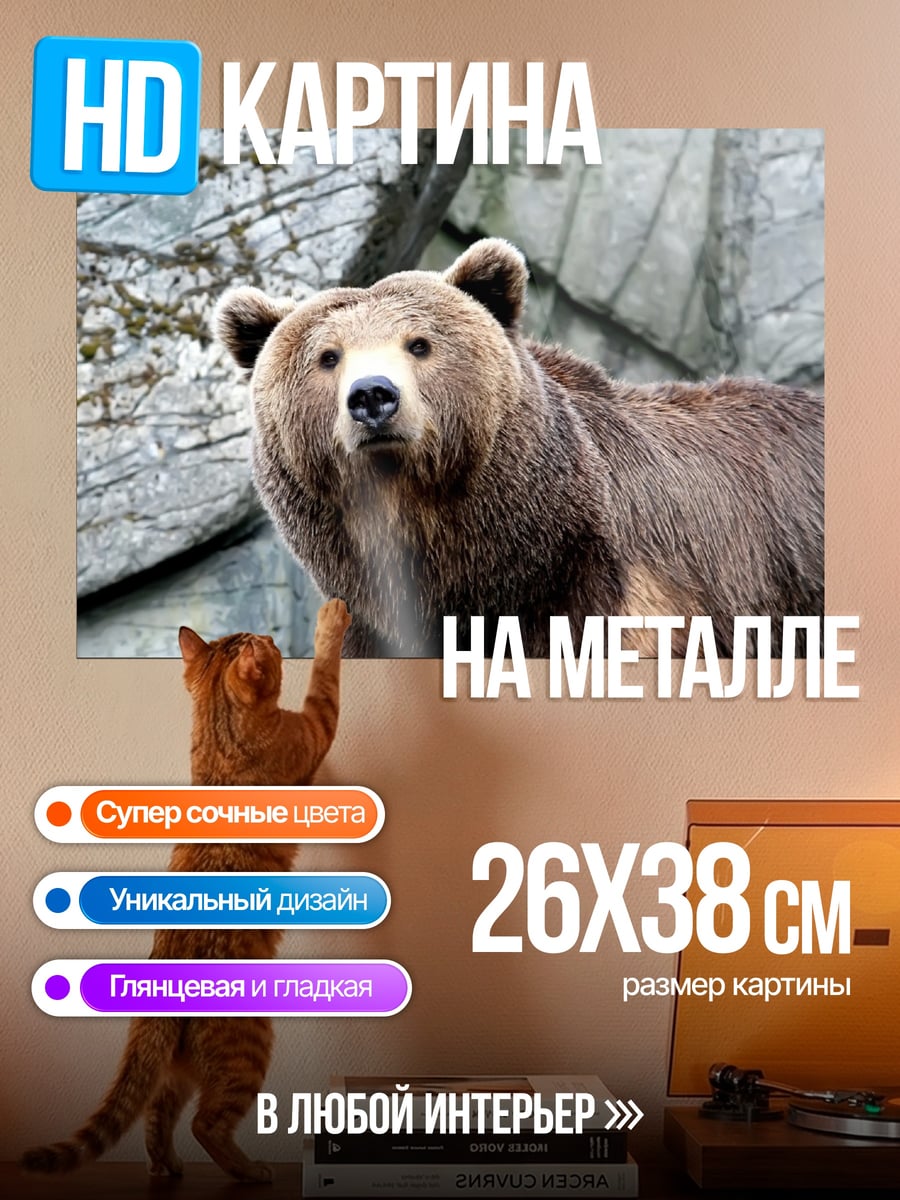 Картина на металле Бурый медведь