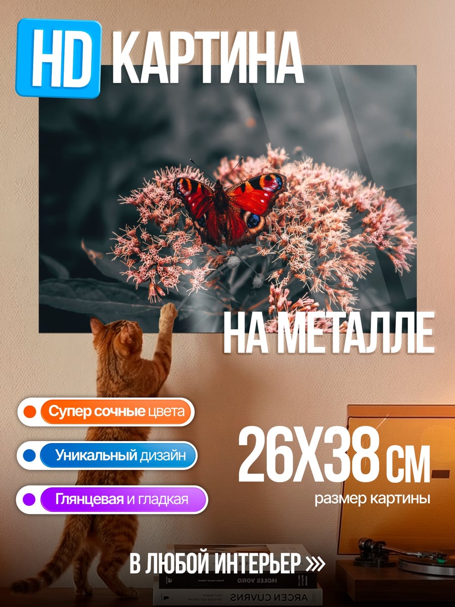 Картина на металле Бабочка на цветке