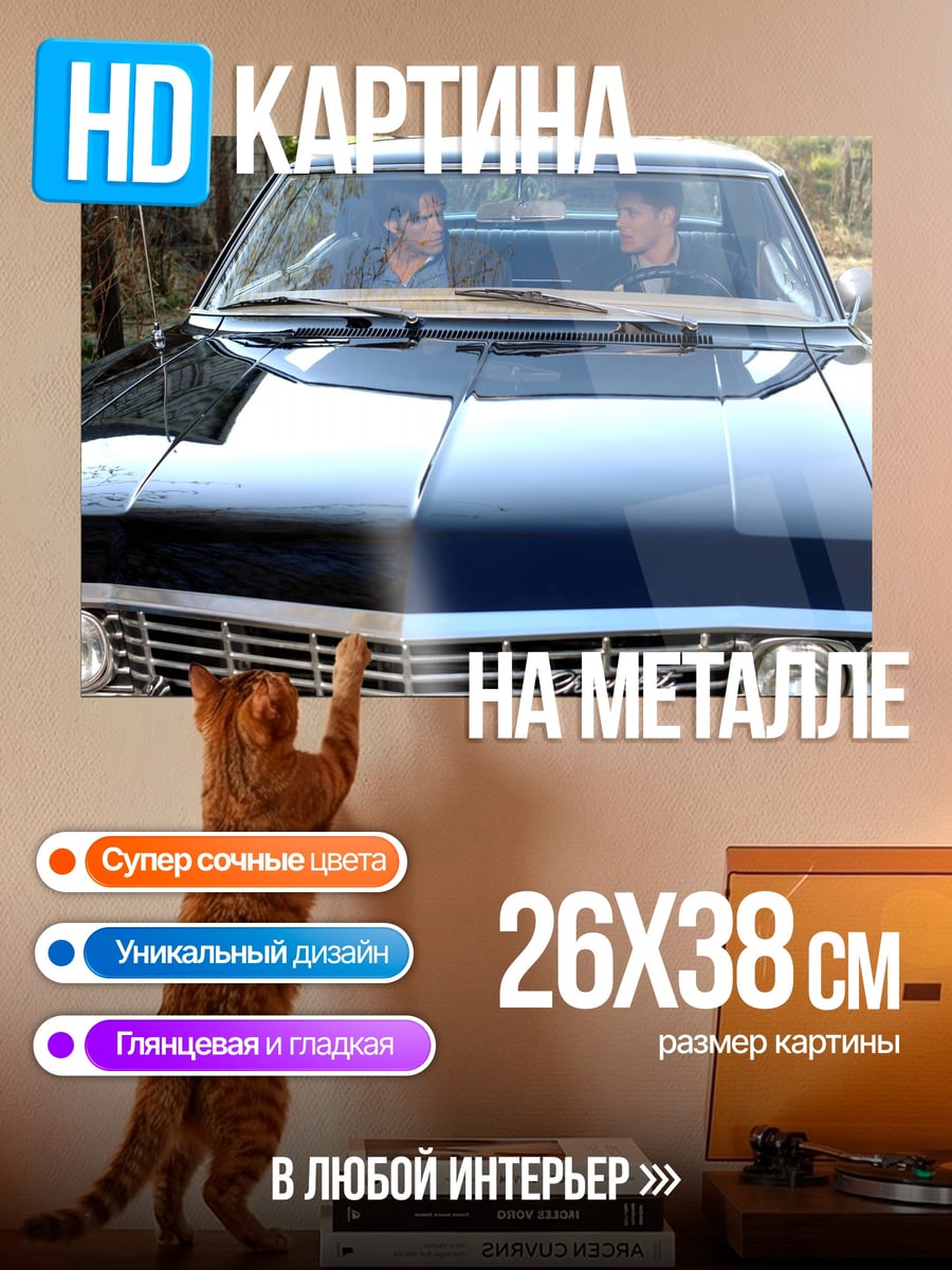 Картина на металле Два брата в машине