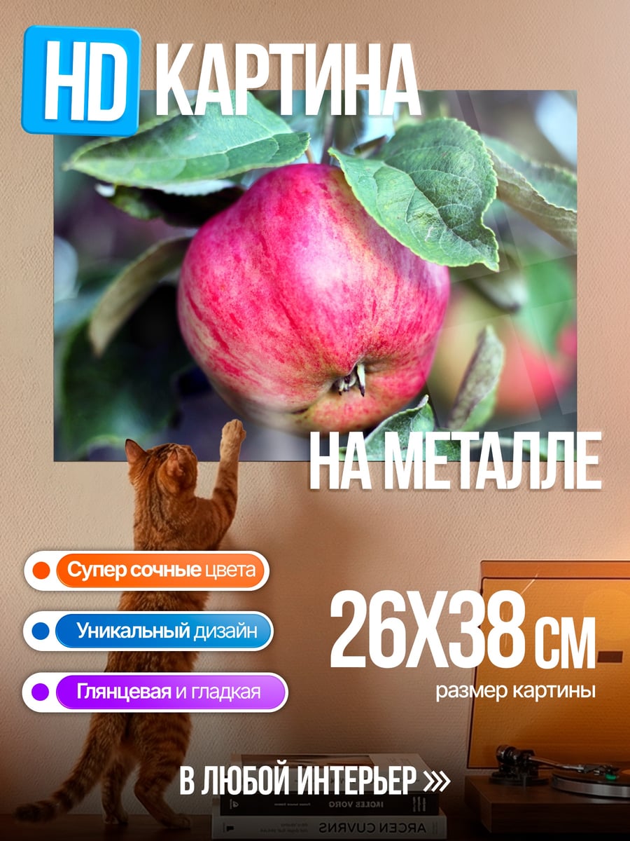 Картина на металле Яблоко на ветке