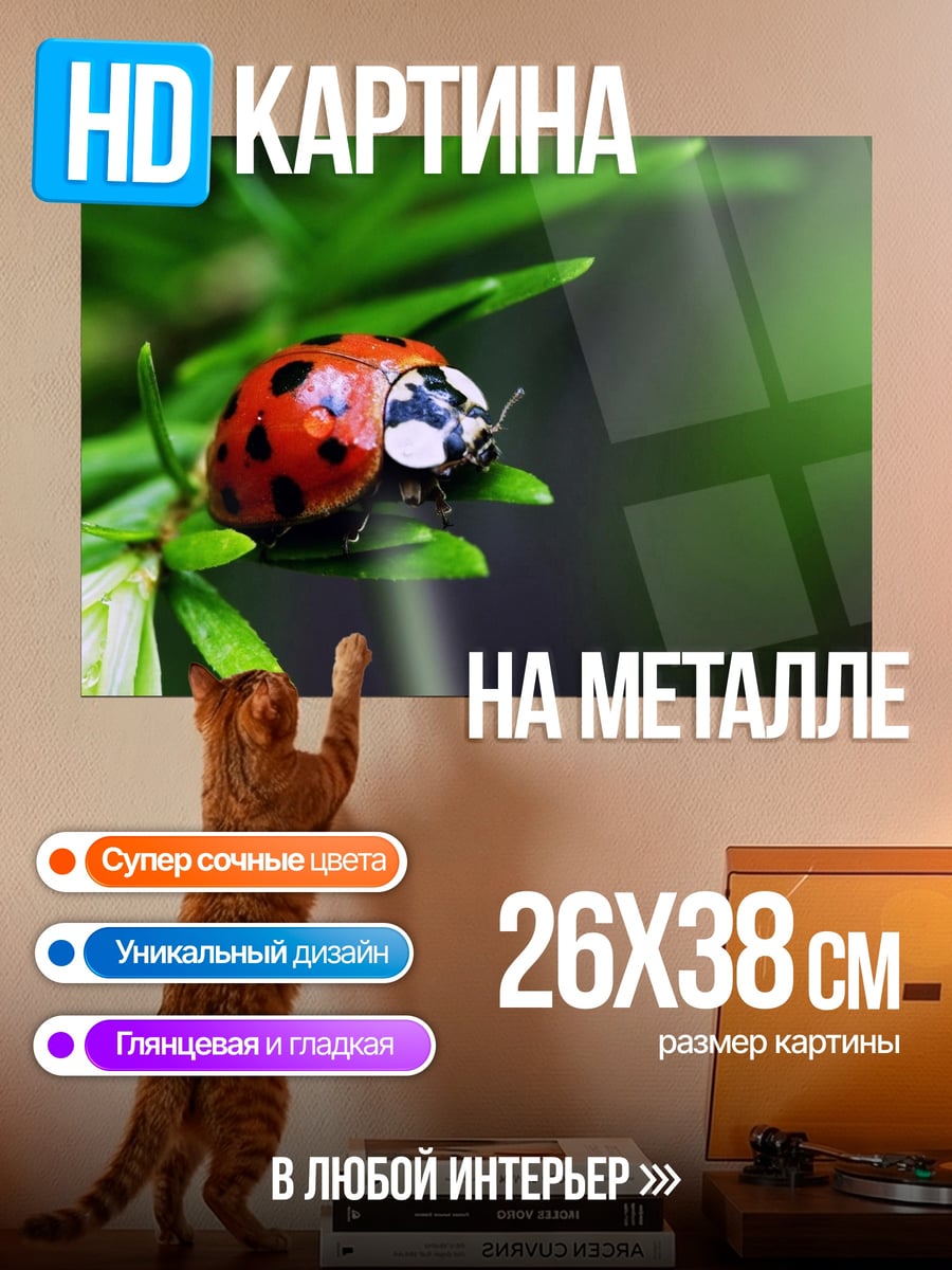 Картина на металле Божья коровка на ветке
