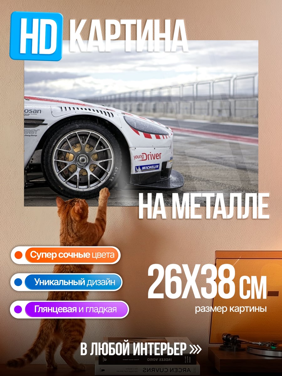 Картина на металле гоночный автомобиль на трассе