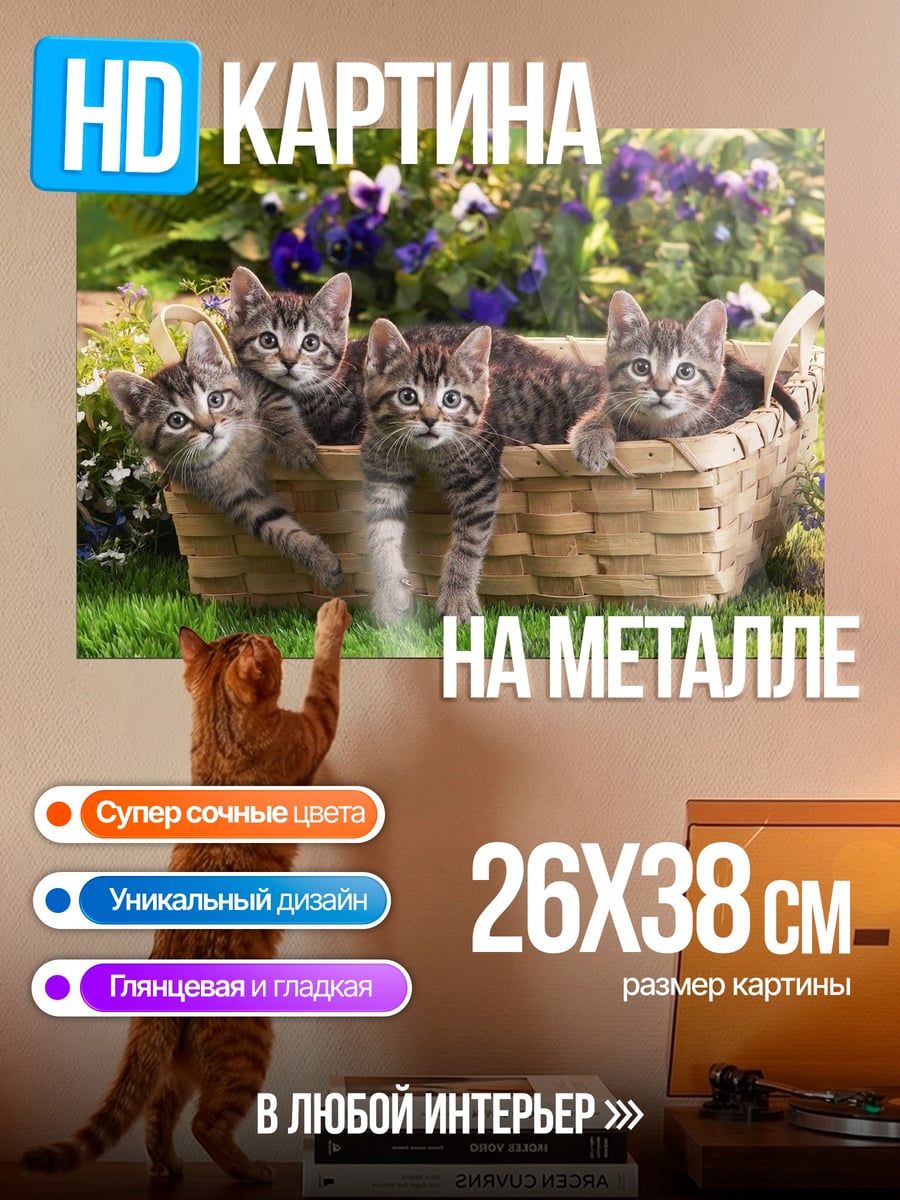 Картина на металле котята в корзине