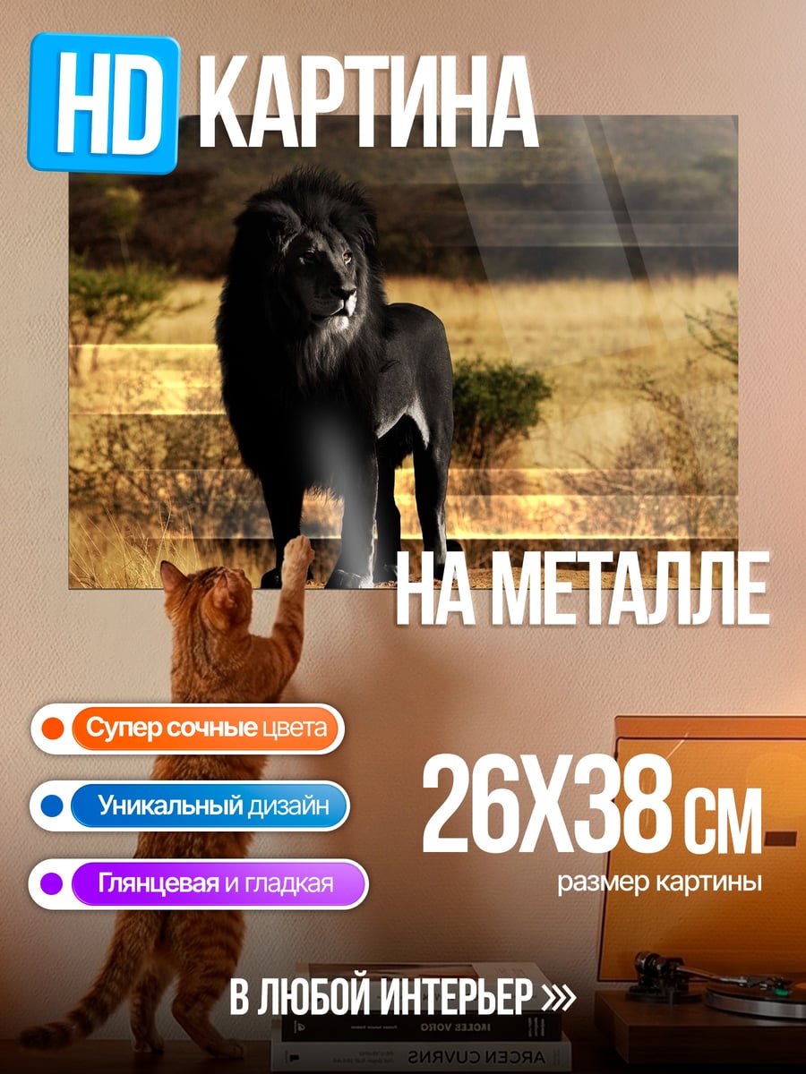Картина на металле Чёрный лев саванны