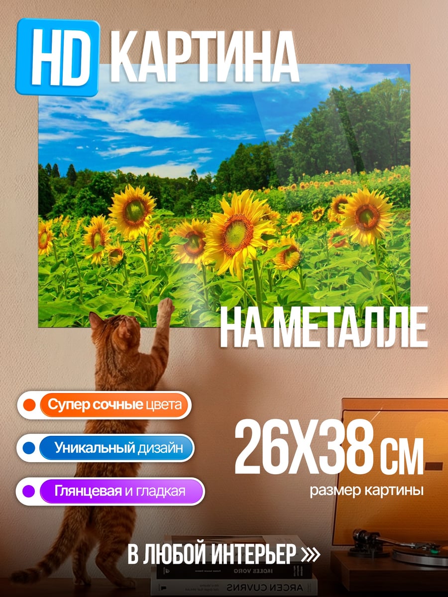 Картина на металле поле подсолнухов