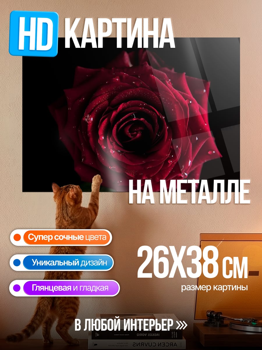 Картина на металле красная роза каплями