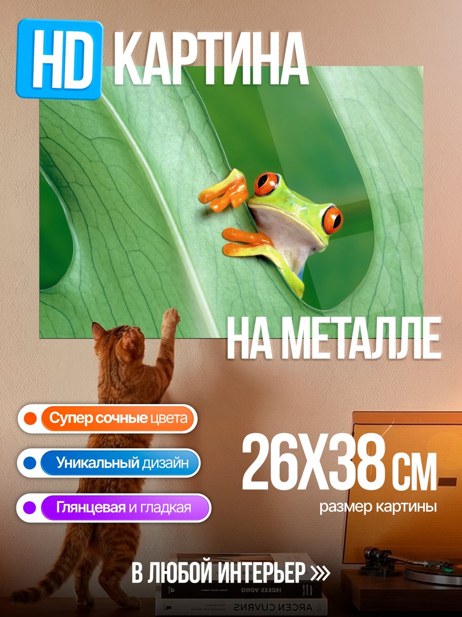 Картина на металле Лягушка на листе