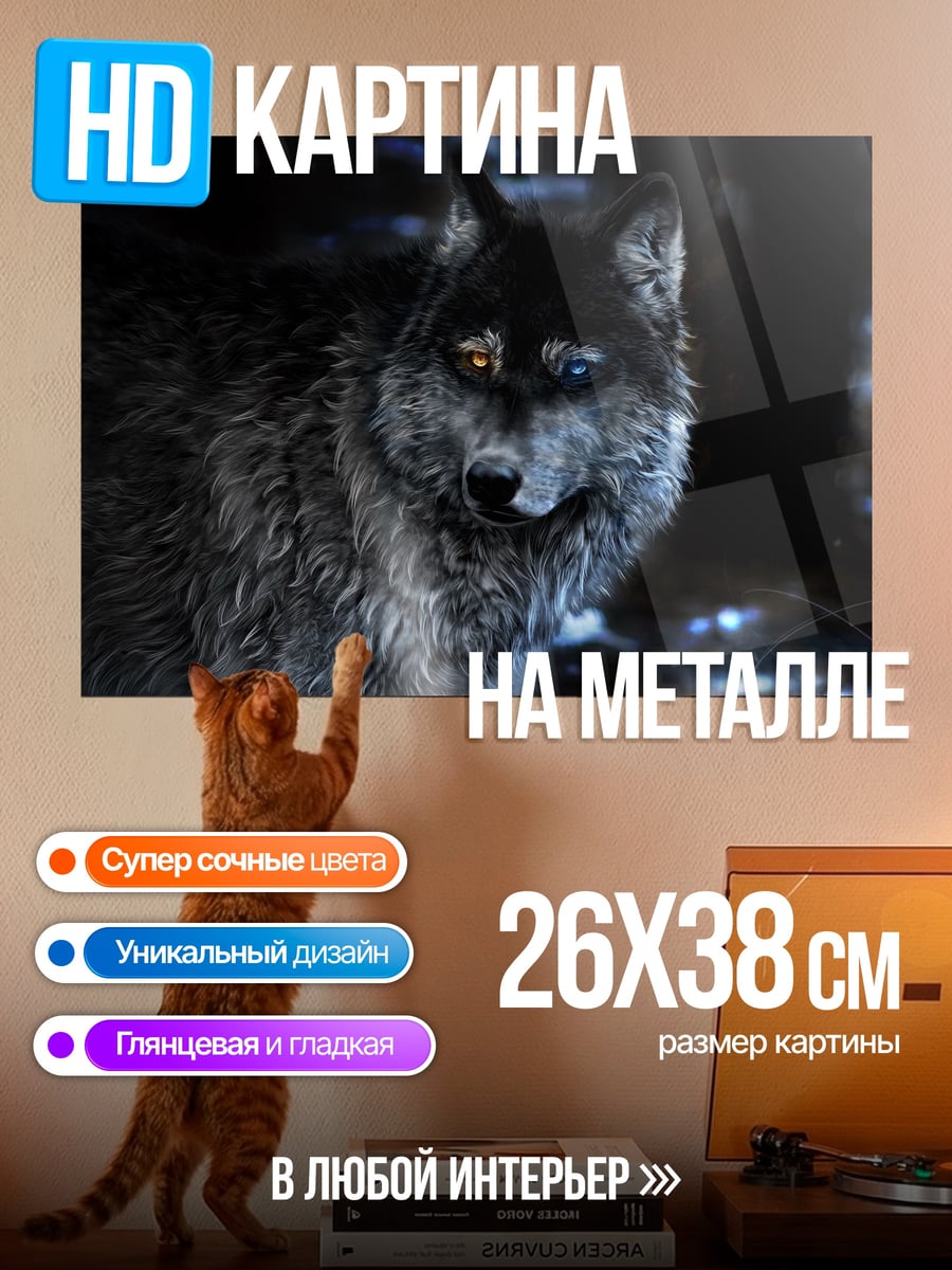 Картина на металле Волк с разными глазами