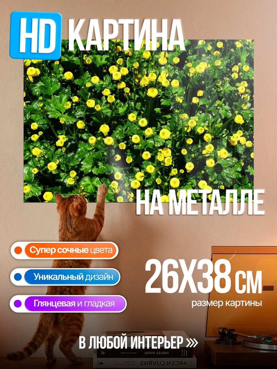 Картина на металле поле желтых цветов