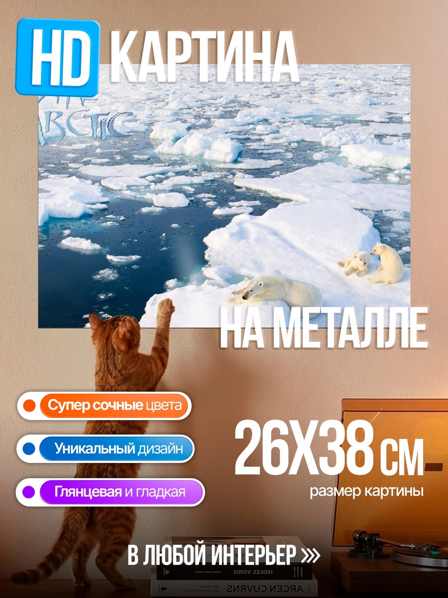 Картина на металле Белые медведи Арктики