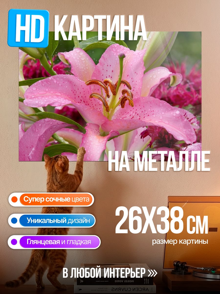 Картина на металле розовая лилия в каплях