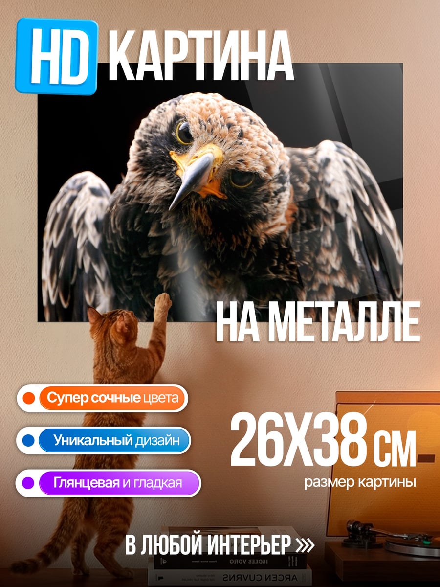 Картина на металле орёл на чёрном фоне